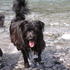 Urlaub im Allgäu (16)